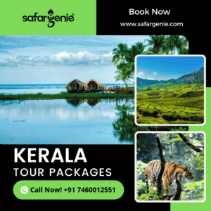 best kerala tour packages