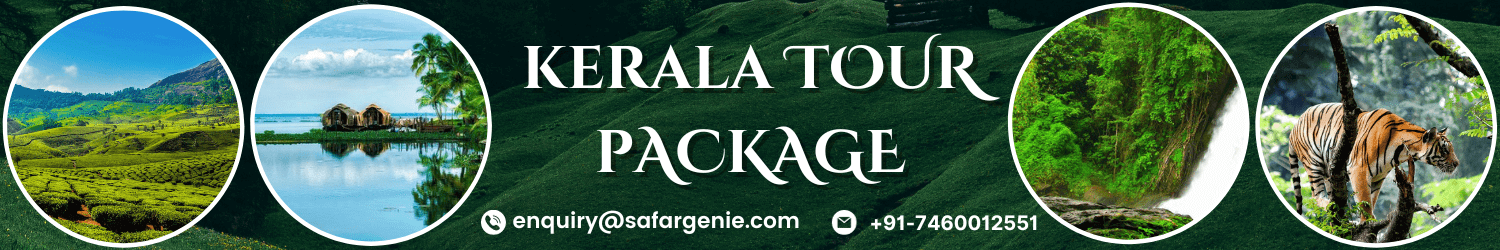 kerala tour packages for senior citizens